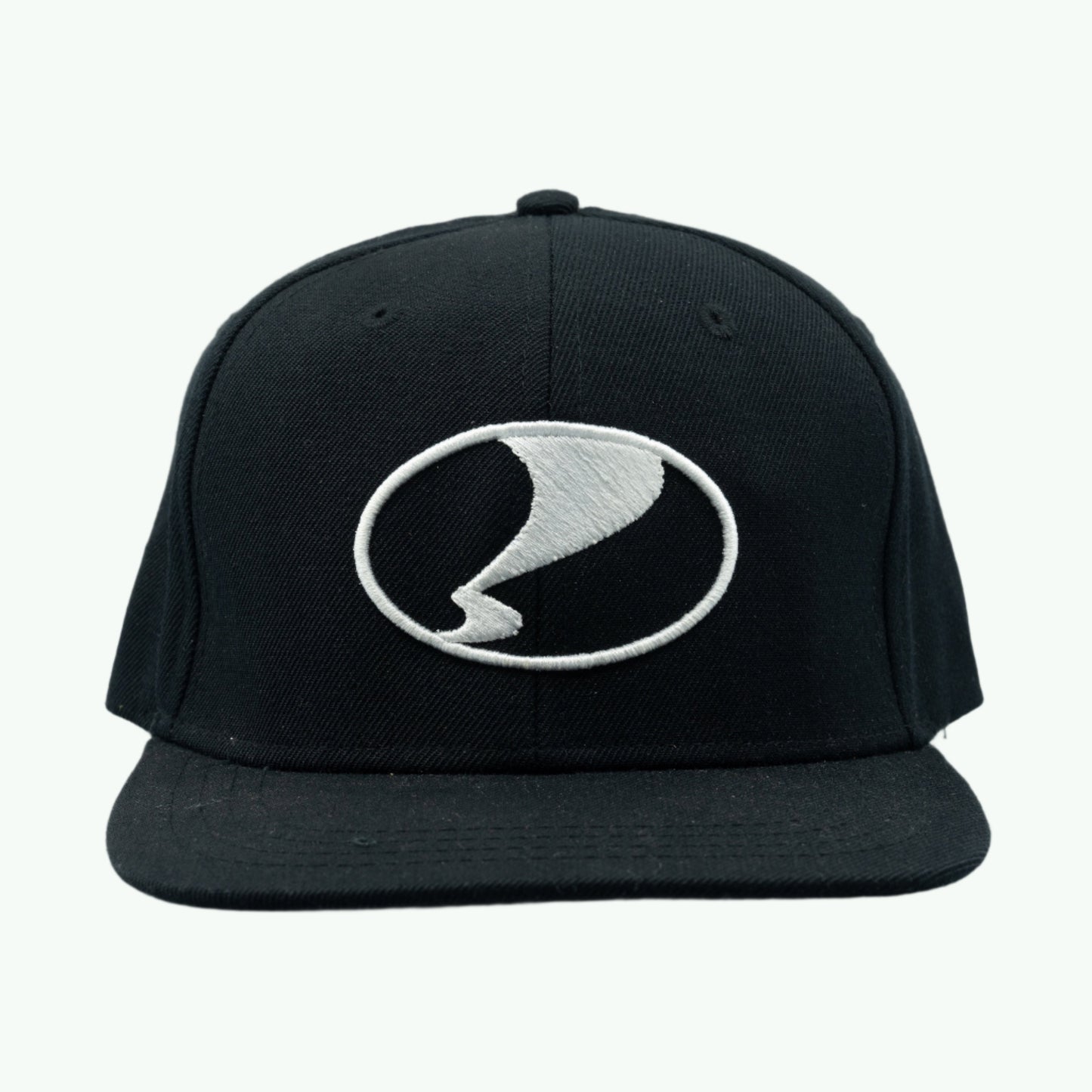 Logo Snapback