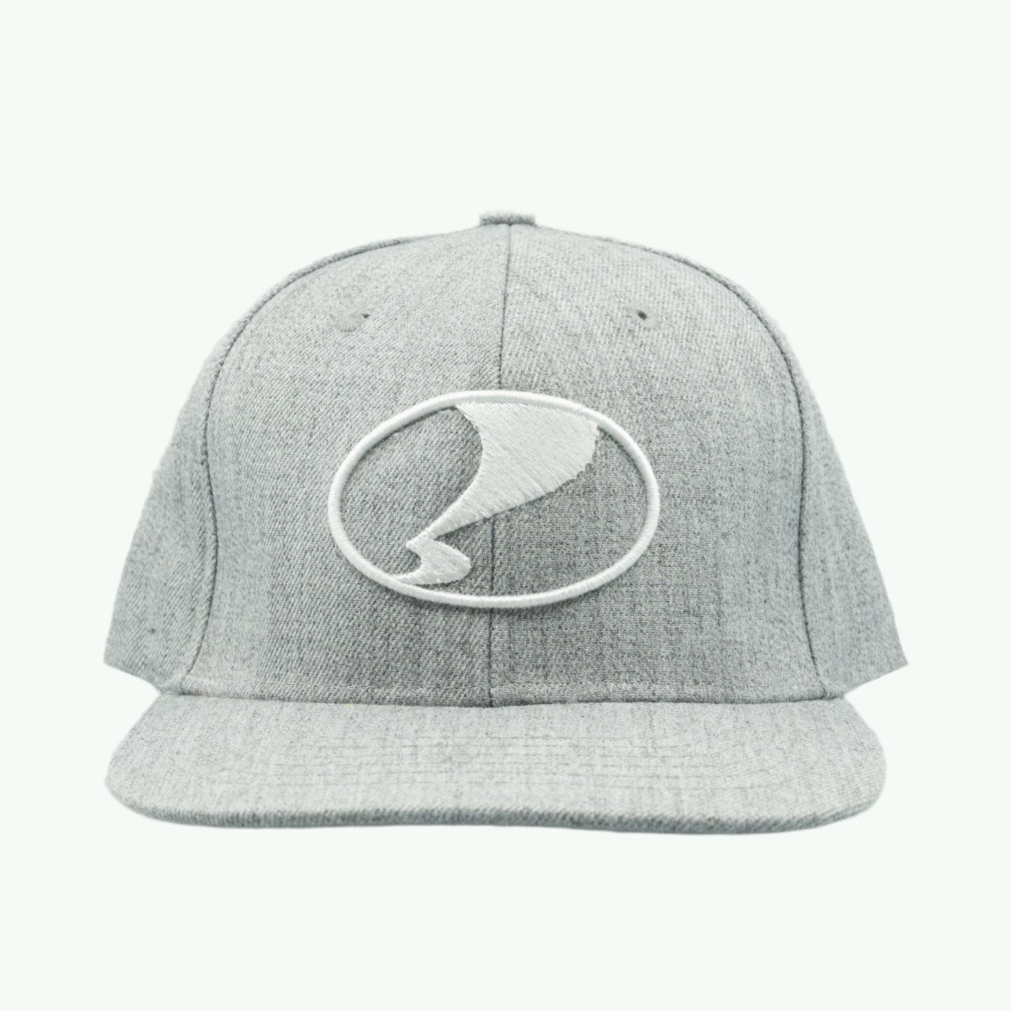 Logo Snapback