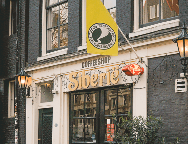 Siberie brand preview